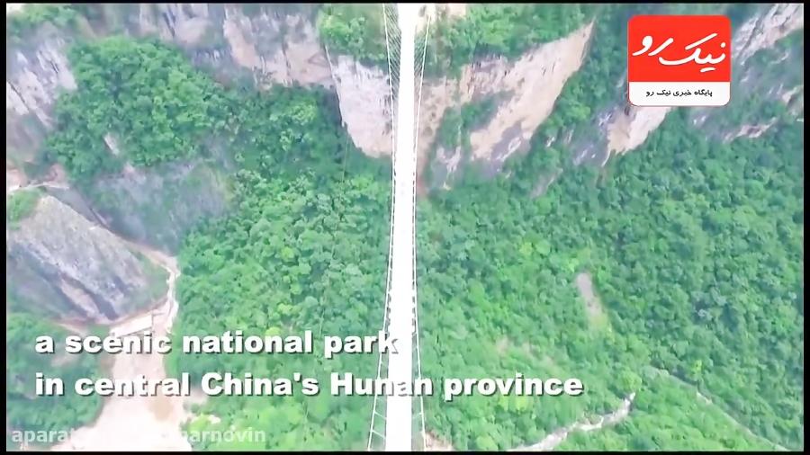 افتتاح طولانی ترین پل شیشه ای جهان در شمال شرق چین